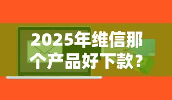 2025年维信那个产品好下款？看看这5个网上贷款平台