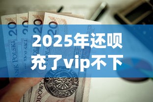 2025年还呗充了vip不下款：推荐五个无视黑白户口子