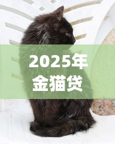 2025年金猫贷款app好下款吗？推荐5个有什么好借钱的平台