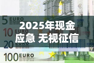 2025年现金应急 无视征信：试试这5个征信花贷款平台好下款