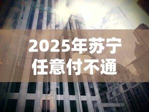 2025年苏宁任意付不通过：整理5个失信被执行人能贷款的口子