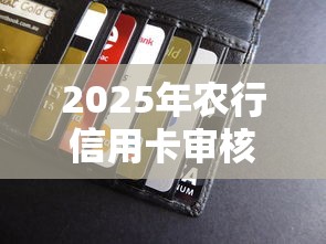 2025年农行信用卡审核不通过,罗列5个好过的贷款平台 2025年农行信用卡审核不通过,罗列5个好过的贷款平台