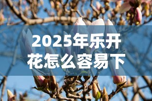 2025年乐开花怎么容易下款:罗列5个黑户口子 2025年乐开花怎么容易下款:罗列5个黑户口子