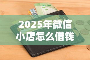 2025年微信小店怎么借钱到银行卡?分享五个征信花居然都下款的平台 2025年微信小店怎么借钱到银行卡?分享五个征信花居然都下款的平台