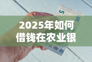 2025年如何借钱在农业银行：看看这5个一点分期借款平台