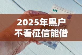 2025年黑户不看征信能借到钱吗，公布5个好口子网贷