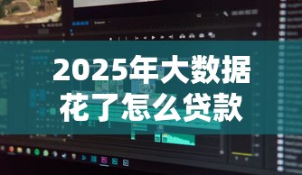 2025年大数据花了怎么贷款：分享5个什么软件借钱最快通过利息低