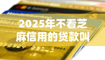 2025年不看芝麻信用的贷款叫什么，整合5个最容易下款的网贷平台