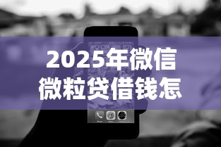 2025年微信微粒贷借钱怎么还一部分钱：罗列五个黑白贷款必过的软件