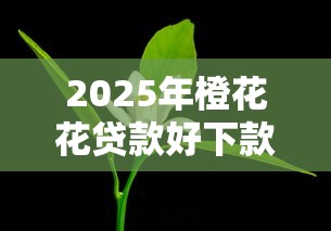 2025年橙花花贷款好下款吗？整理5个被贷款平台骗了怎么办