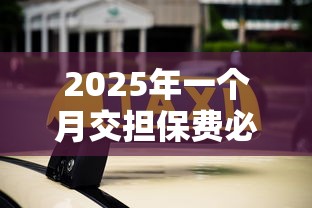2025年一个月交担保费必过口子5000？公布五个不查征信的借款平台百分百通过