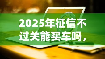 2025年征信不过关能买车吗，推荐5个黑户撸口子