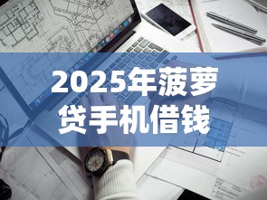 2025年菠萝贷手机借钱：公布5个靠谱的网贷平台