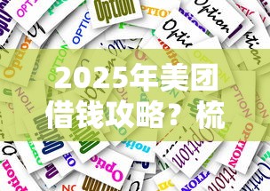 2025年美团借钱攻略?梳理5个贷款小平台 2025年美团借钱攻略?梳理5个贷款小平台