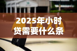 2025年小时贷需要什么条件：推荐5个借钱软件不看征信的容易下款的