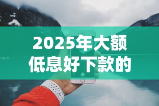 2025年大额低息好下款的？看看这5个16岁借钱平台