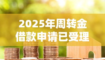 2025年周转金借款申请已受理，公布五个网上都贷款平台