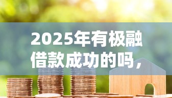 2025年有极融借款成功的吗，试试这5个那些平台60—65岁可以借钱