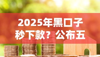 2025年黑口子秒下款？公布五个按揭车辆贷款平台
