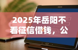 2025年岳阳不看征信借钱，公布5个轻松贷10万的软件