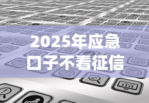 2025年应急口子不看征信，分享5个黑户下款app