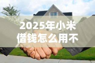 2025年小米借钱怎么用不了微信：罗列五个48期贷款平台