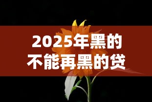 2025年黑的不能再黑的贷款:看看这5个2025大花户放水秒下款的口子 2025年黑的不能再黑的贷款:看看这5个2025大花户放水秒下款的口子