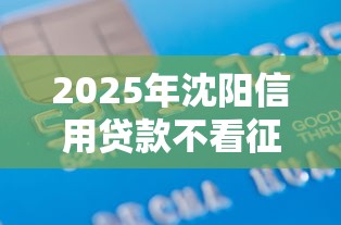 2025年沈阳信用贷款不看征信：罗列5个高炮新口子秒批秒下款不上征信不用还