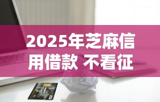 2025年芝麻信用借款 不看征信：梳理5个能借20000的贷款平台