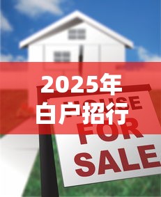 2025年白户招行被秒拒了：试试这5个正规大额贷款平台