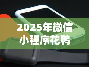 2025年微信小程序花鸭借钱可信吗，整合五个平台借钱