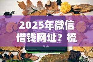 2025年微信借钱网址?梳理5个夜间秒下款的14天口子 2025年微信借钱网址?梳理5个夜间秒下款的14天口子