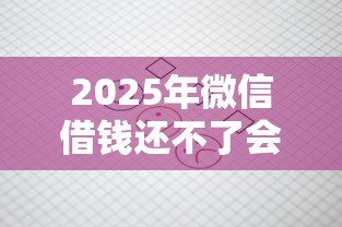 2025年微信借钱还不了会怎样吗，梳理5个不审核夜间直接放款的网贷口子