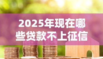 2025年现在哪些贷款不上征信，分享五个黑户成功获取大额贷款的软件