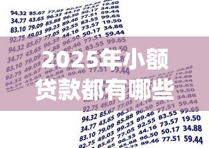 2025年小额贷款都有哪些平台可以借款？整理五个网黑真正能下款的app
