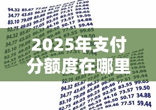 2025年支付分额度在哪里开通：试试这五个天津贷款平台