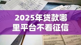 2025年贷款哪里平台不看征信：看看这5个简单容易贷款软件