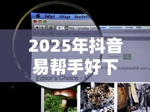 2025年抖音易帮手好下款吗,看看这五个平台贷款 2025年抖音易帮手好下款吗,看看这五个平台贷款