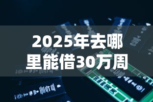 2025年去哪里能借30万周转？推荐5个有信用卡就能贷款的平台
