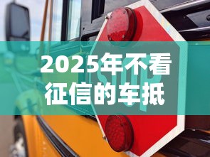 2025年不看征信的车抵贷 经验，罗列5个现在能借钱的平台