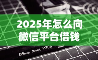 2025年怎么向微信平台借钱,分享5个无视黑白的最新贷款口子 2025年怎么向微信平台借钱,分享5个无视黑白的最新贷款口子