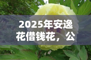 2025年安逸花借钱花,公布五个不看征信秒下款的平台 2025年安逸花借钱花,公布五个不看征信秒下款的平台