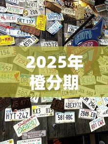 2025年橙分期是什么金融公司,整合五个网络贷款平台 2025年橙分期是什么金融公司,整合五个网络贷款平台
