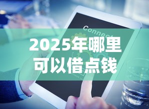 2025年哪里可以借点钱？罗列5个小微金融贷款平台