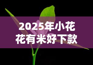2025年小花花有米好下款吗：整理五个未成年可以贷款的平台