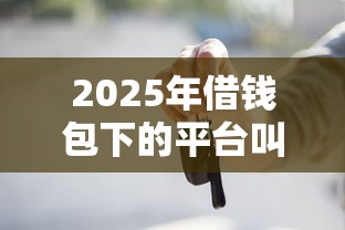 2025年借钱包下的平台叫什么来着：整理五个2025老赖借款口子