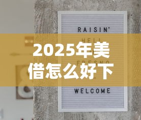 2025年美借怎么好下款？罗列5个贷款平台代理