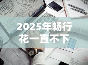 2025年畅行花一直不下款?看看这五个贷款平台不看征信,不看负债 2025年畅行花一直不下款?看看这五个贷款平台不看征信,不看负债