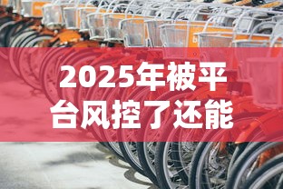 2025年被平台风控了还能贷款吗:分享5个车抵押贷款平台好 2025年被平台风控了还能贷款吗:分享5个车抵押贷款平台好
