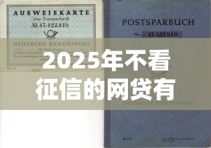 2025年不看征信的网贷有风险,罗列5个征信花必过的平台 2025年不看征信的网贷有风险,罗列5个征信花必过的平台